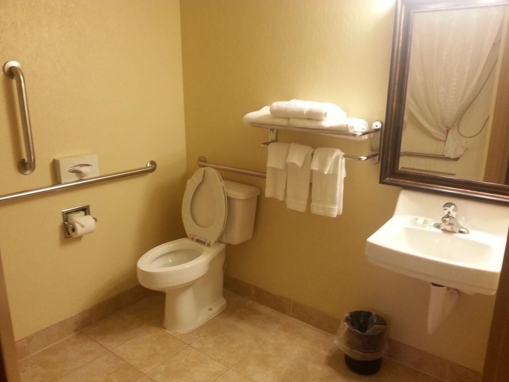 Quality Inn & Suites Saginaw Ruang foto