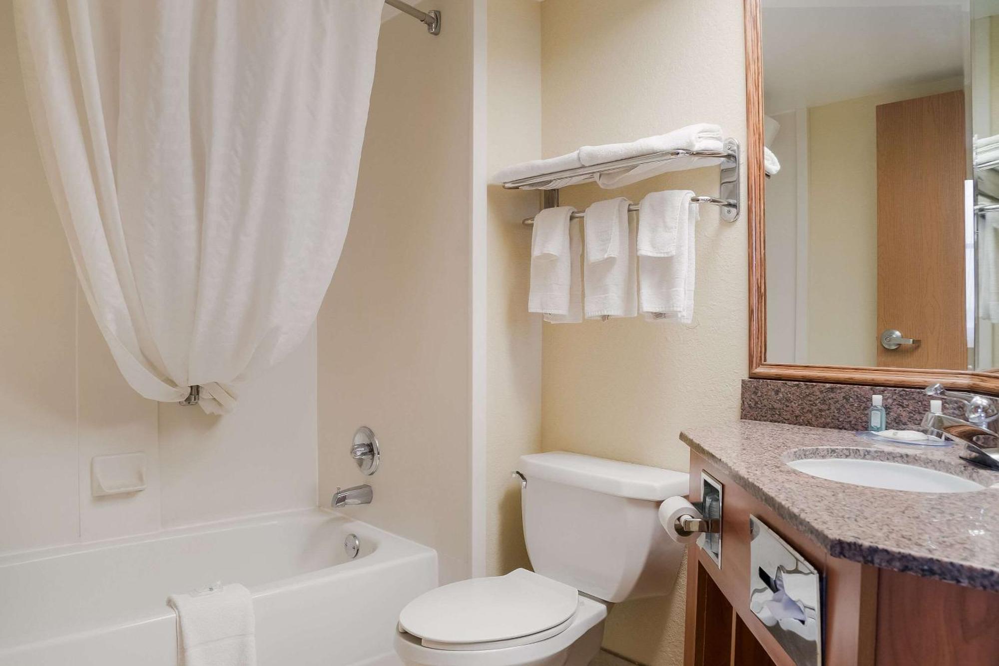 Quality Inn & Suites Saginaw Bagian luar foto