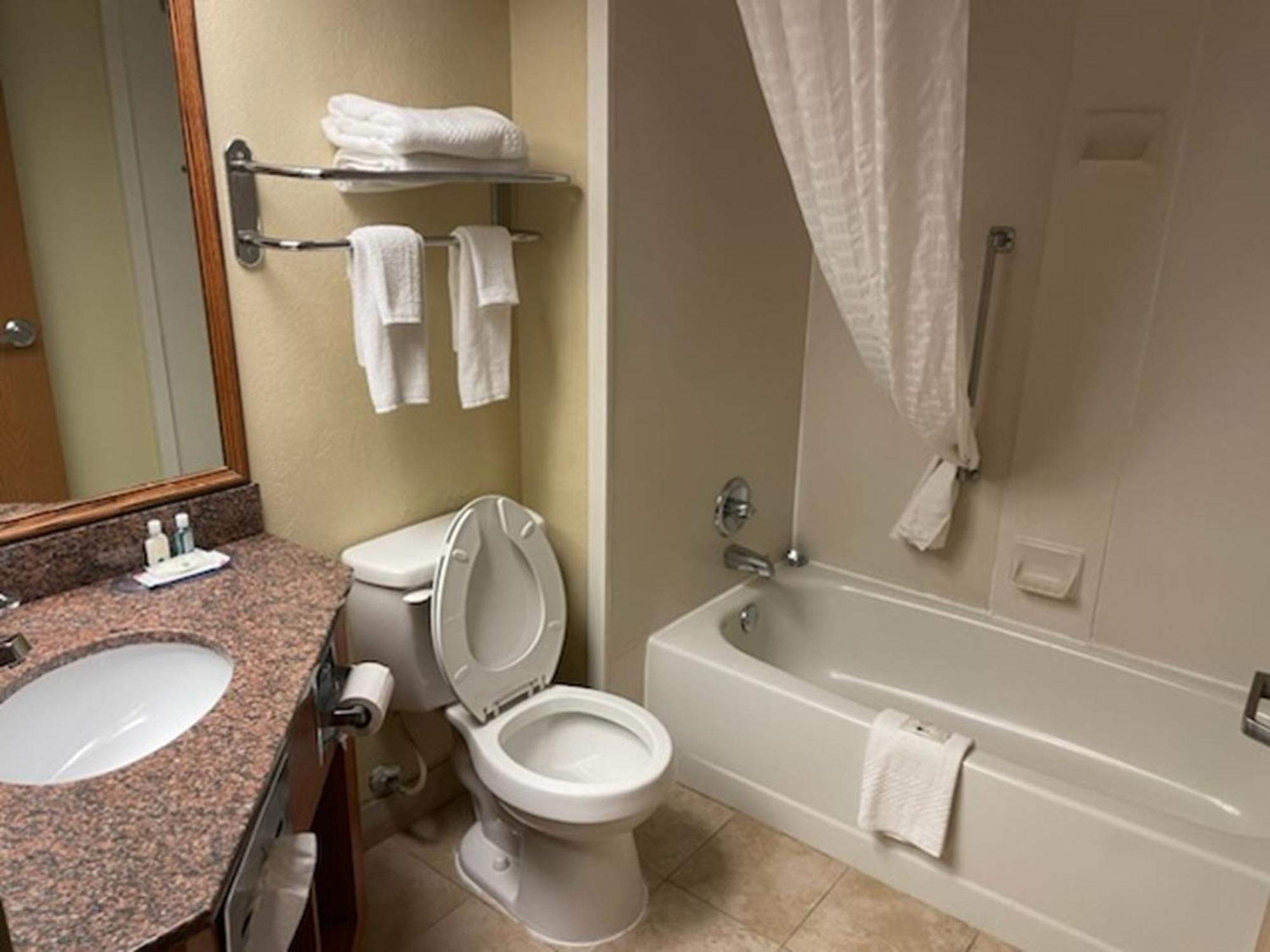 Quality Inn & Suites Saginaw Bagian luar foto